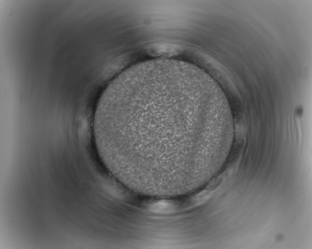 X0000102400460200808151947