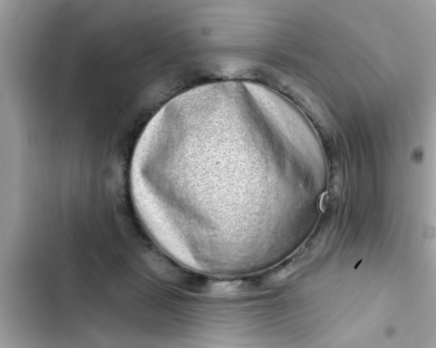 X0000102400461200808151947