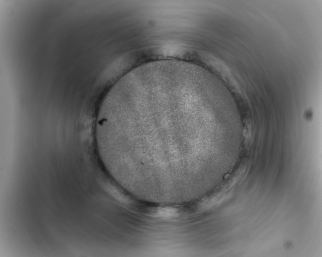 X0000102400462200808151947