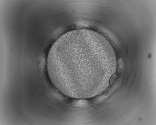 X0000102400463200808151947