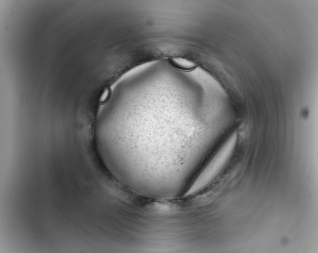 X0000102400464200808151947