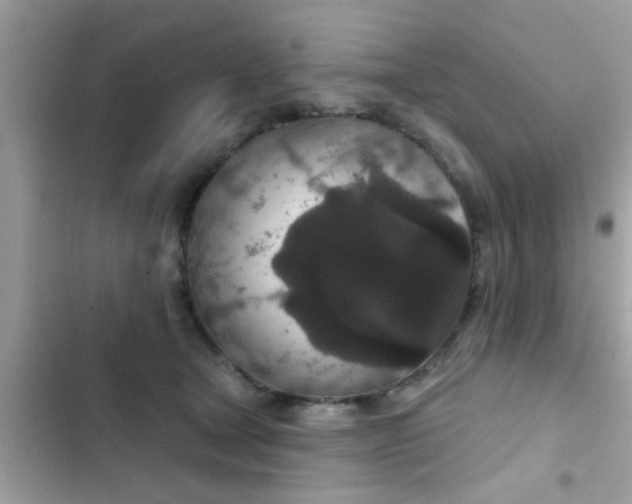 X0000102400465200808151947