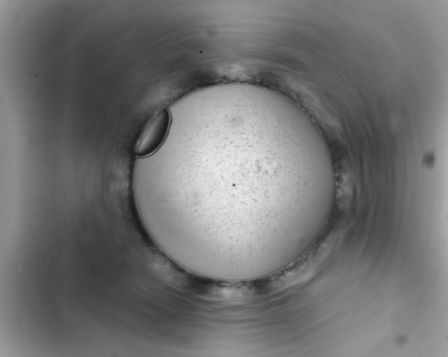 X0000102400466200808151947