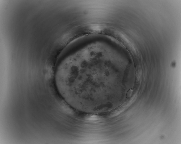 X0000102400467200808151947