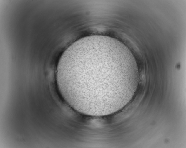 X0000102400468200808151947