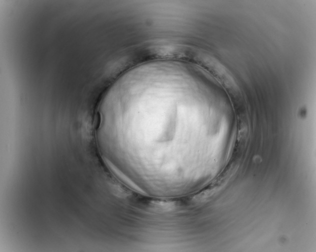 X0000102400469200808151947