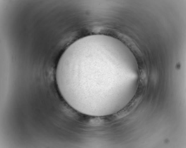 X0000102400470200808151947