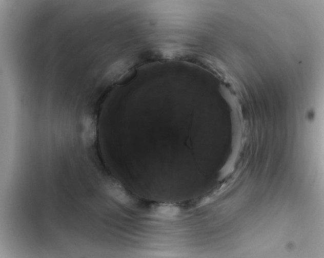 X0000102400471200808151947