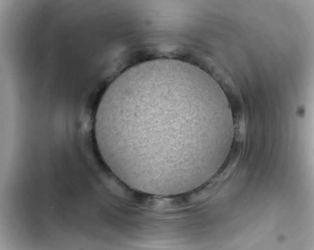 X0000102400472200808151947