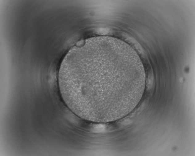 X0000102400473200808151947