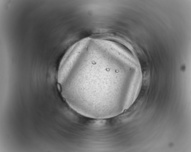 X0000102400474200808151947