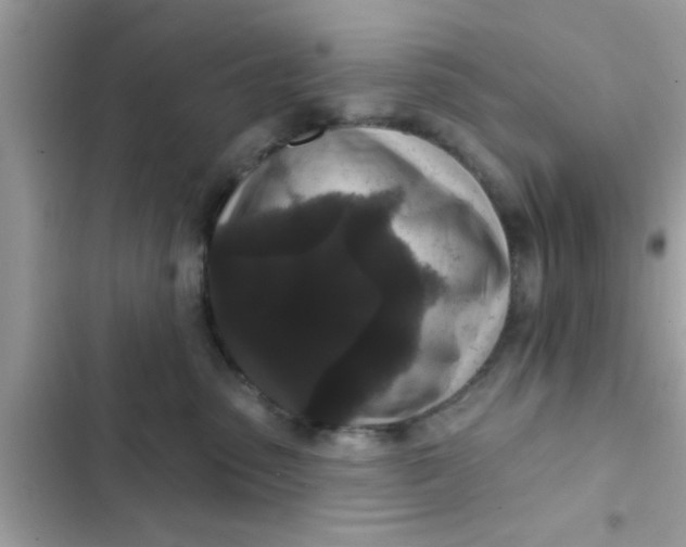 X0000102400475200808151947