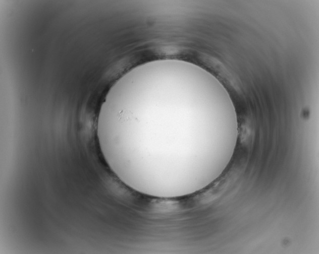 X0000102400476200808151947