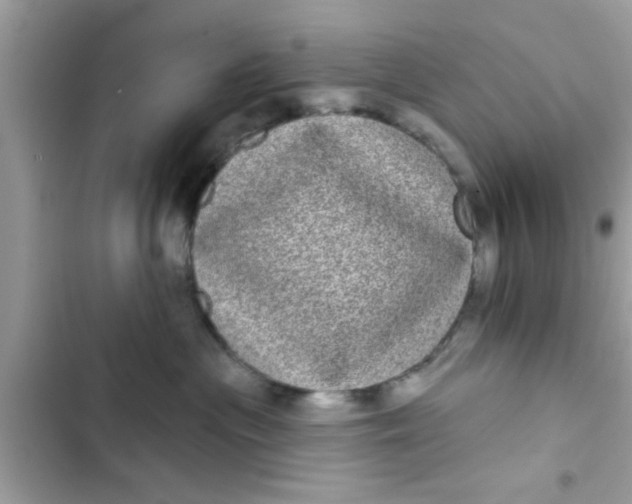 X0000102400477200808151947