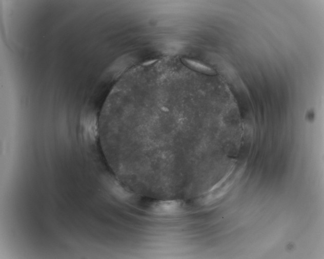 X0000102400479200808151947