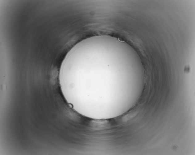 X0000102400480200808151947