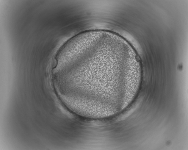 X0000102400481200808151946