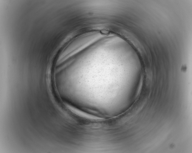 X0000102400482200808151946