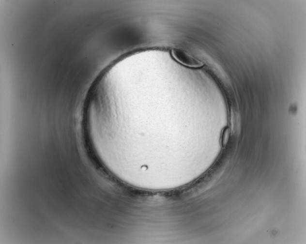 X0000102400483200808151946