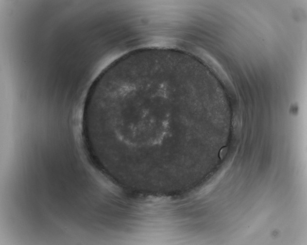 X0000102400484200808151946