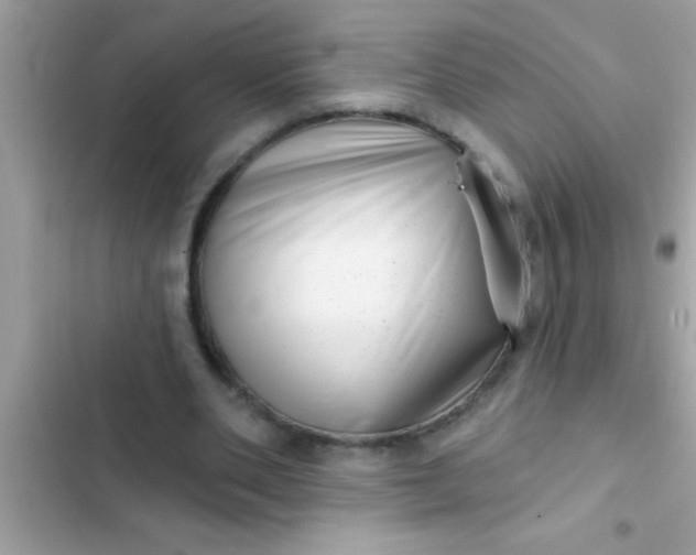 X0000102400486200808151946