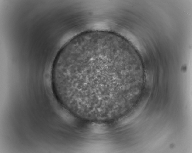 X0000102400487200808151946