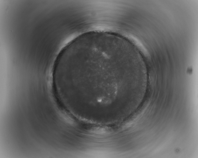 X0000102400488200808151946