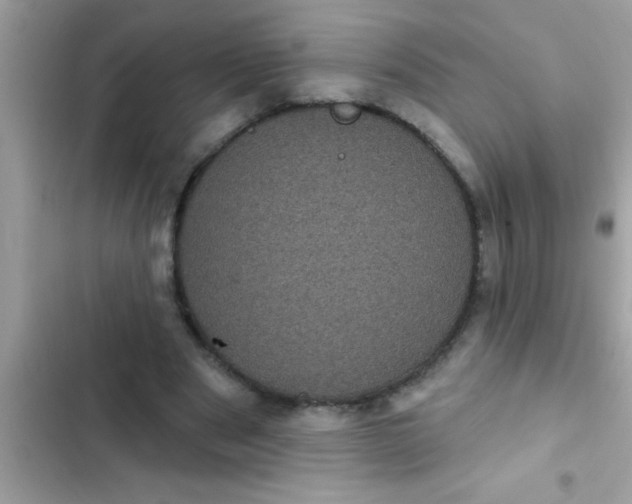 X0000102400489200808151946