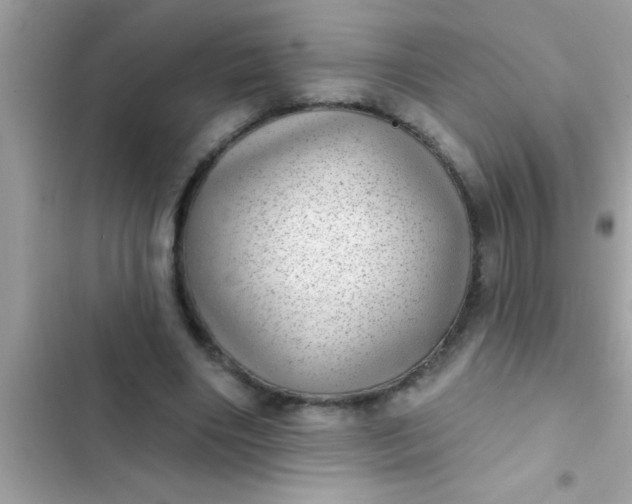 X0000102400490200808151946