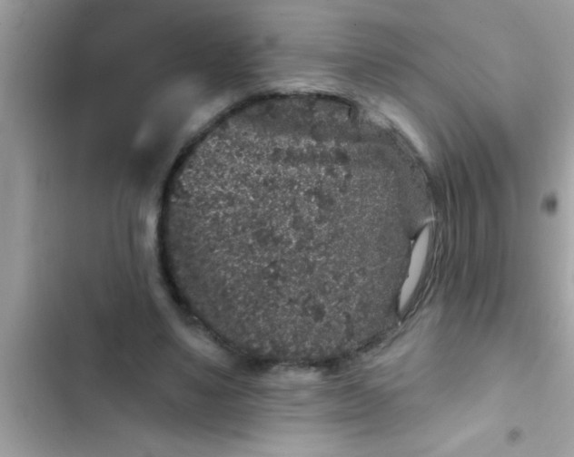 X0000102400491200808151946