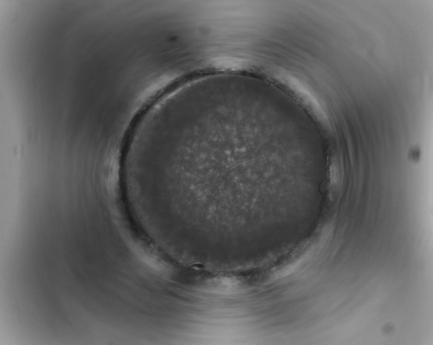 X0000102400492200808151946