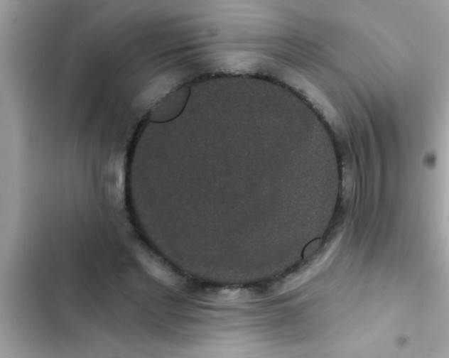 X0000102400493200808151946