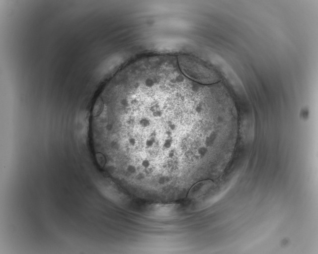 X0000102400495200808151946