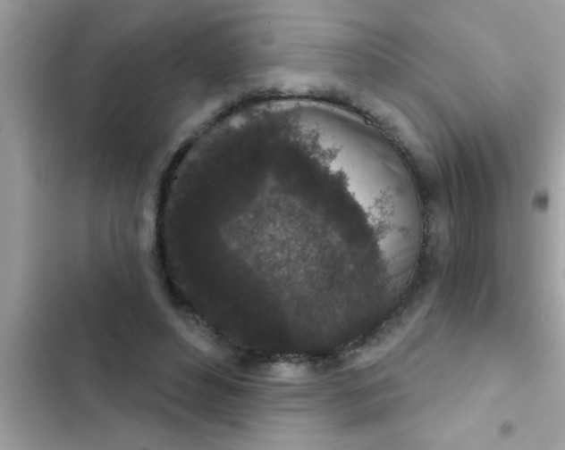 X0000102400496200808151946