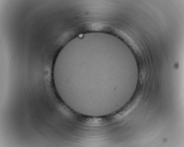 X0000102400497200808151946