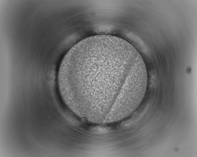 X0000102400498200808151946