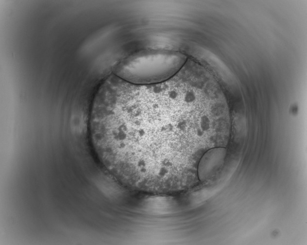 X0000102400499200808151946