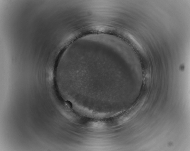 X0000102400500200808151946