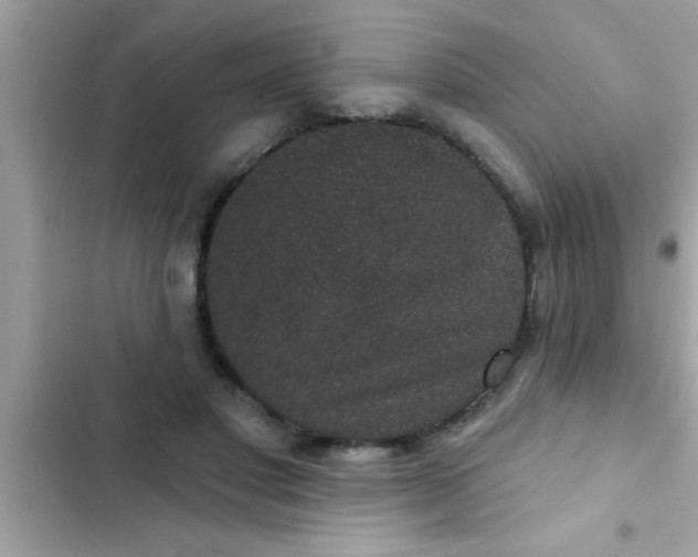 X0000102400501200808151946