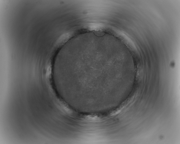 X0000102400502200808151946