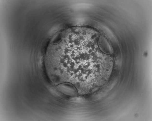 X0000102400503200808151946