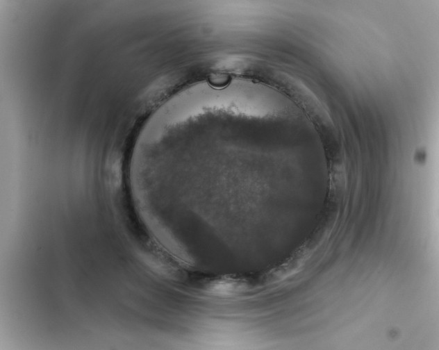 X0000102400504200808151946