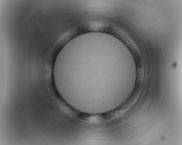 X0000102400505200808151946