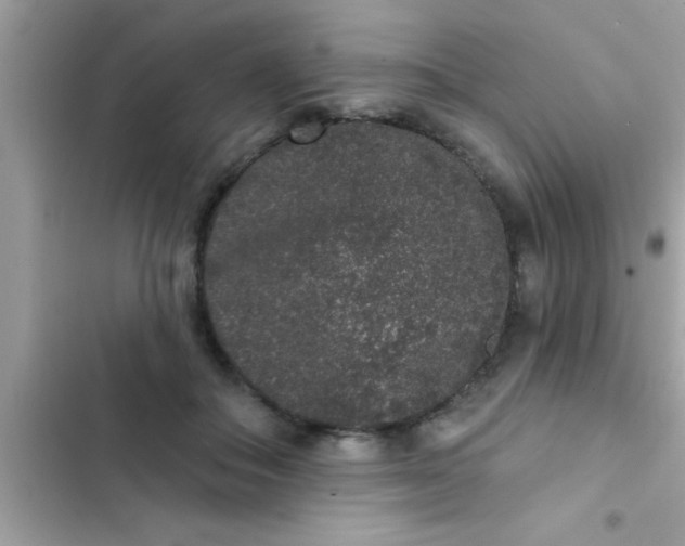 X0000102400506200808151946