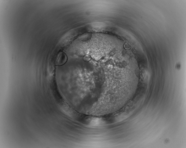 X0000102400507200808151946