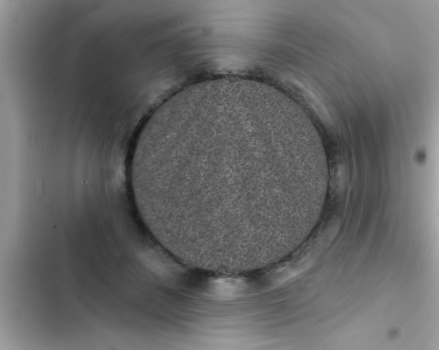 X0000102400508200808151946