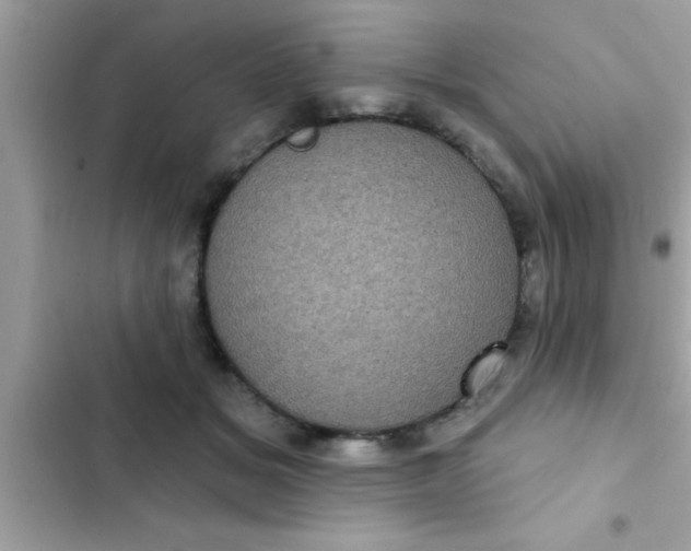 X0000102400509200808151946