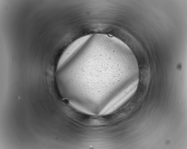 X0000102400510200808151946