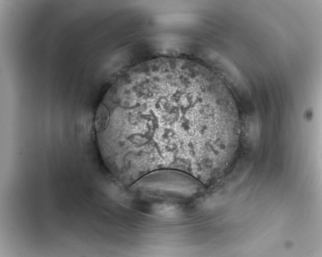 X0000102400511200808151946