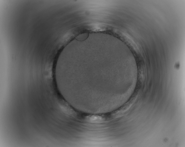 X0000102400512200808151946